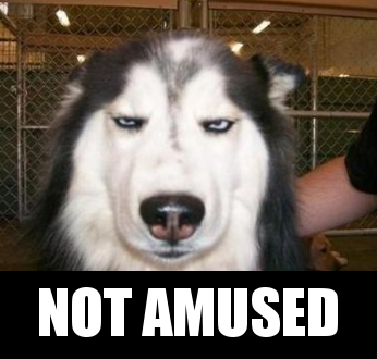 La chronique blasé du mercredi Not_Amused