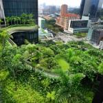 ARCHI : Verdure luxuriante et hotel ARCHI : Verdure luxuriante et hotel