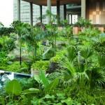 ARCHI : Verdure luxuriante et hotel ARCHI : Verdure luxuriante et hotel