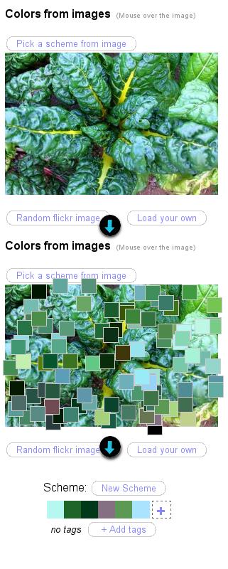 colr.org: créez vos palettes depuis vos photos
