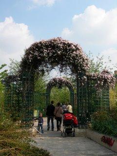 Balade sur la Coulée verte, avec le beau temps !