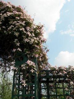 Balade sur la Coulée verte, avec le beau temps !