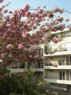Balade sur la Coulée verte, avec le beau temps !