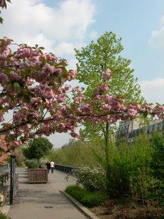 Balade sur la Coulée verte, avec le beau temps !