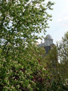 Balade sur la Coulée verte, avec le beau temps !