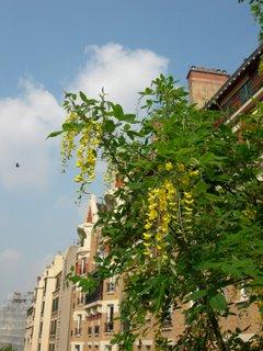 Balade sur la Coulée verte, avec le beau temps !