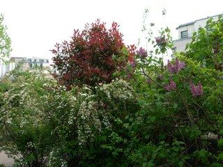 Balade sur la Coulée verte, avec le beau temps !