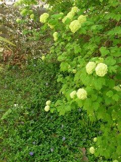 Balade sur la Coulée verte, avec le beau temps !