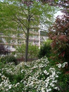 Balade sur la Coulée verte, avec le beau temps !