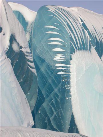 Vagues gelées en Antartique