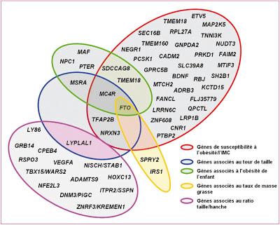 Article d’Opinion - NHLH2: à la croisée de l’obésité et de la fertilité Article d’Opinion - NHLH2: à la croisée de l’obésité et de la fertilité