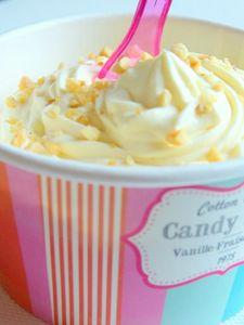 Yaourt glacé aux éclats de nougatine P1000981