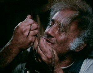 Régal d'Asticots regal-d-asticots_12529_27484