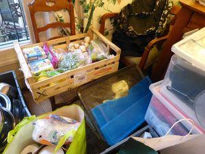 Norbert, Jean et moi, le making-off ! Norbert et Jean 005