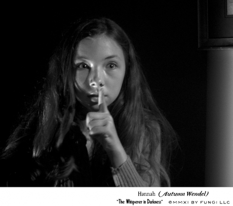 THE WHISPERER IN DARKNESS : CRITIQUE the whisperer in darkness3.png