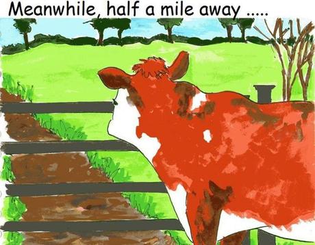 Violet's vegan comics : les BD vegan de Violet 10