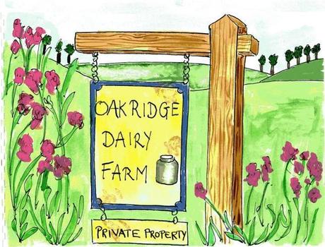 Violet's vegan comics : les BD vegan de Violet First