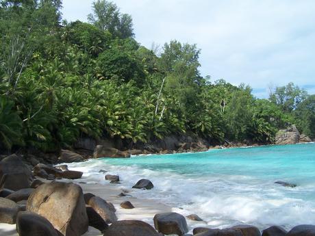 SEYCHELLES : Ile de MAHE, jour 2 http://img15.hostingpics.net/pics/99479310MahAnseintendance5.jpg