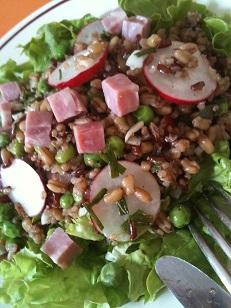 Salade quinoa radis2