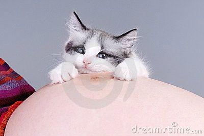 Ce que vous vivez vraiment lorsque vous êtes enceinte cat