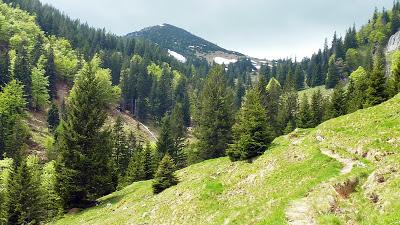 Belles promenades bavaroises: Aschau et le Klausenberg