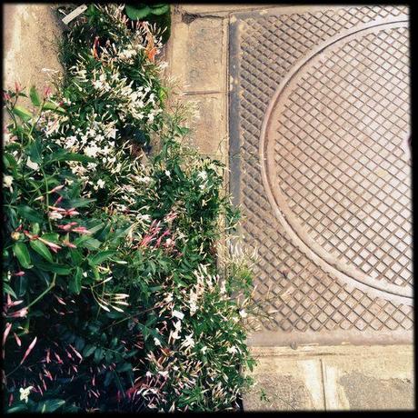 Clichés parisiens #8 IMG_0716