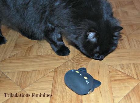 Une bouffée de couleurs ! Le sosie d'Astuce : le Pochicat !