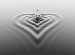 Dossier spécial désordre – 4 ★ { Que faire si vous vivez avec quelqu’un de désordonné ? } coeur
