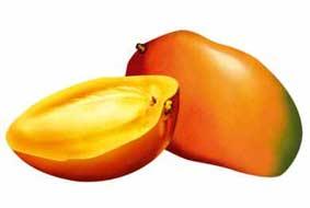 Gamme au beurre de mangue de chez Klorane, parfaite pour mes cheveux secs. Gamme au beurre de mangue de chez Klorane, parfaite pour mes cheveux secs.