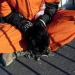 Anonymous menace, l’armée coupe le Wifi à Guantanamo guantanamo