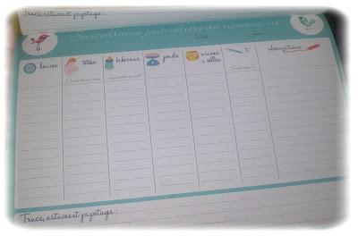 Ma grossesse : Le carnet Babynote Ma grossesse : Le carnet Babynote