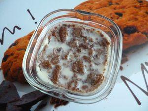 yaourts diététiques maison et leur crumble de palets choco-noisette DietSKN (pour 8 pots) P1020530