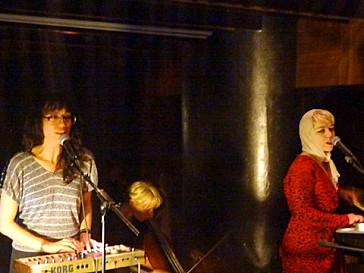 Fantomatic.Night: Terror Bird - Luminance- Mattress au Café Central, Bruxelles, le 23 mai 2013 027-copie-3.JPG
