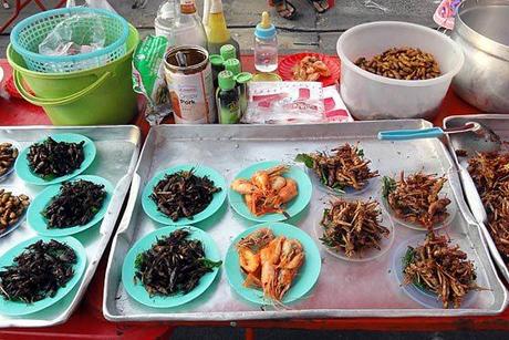Manger des insectes en Thailande
