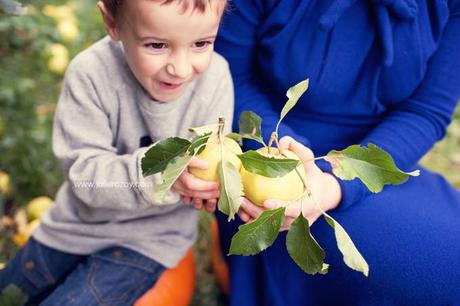 Clément et Michèle entre les pommiers : séance photos mère-enfant mise en scène, en campagne Clément et Michèle entre les pommiers : séance photos mère-enfant mise en scène, en campagne