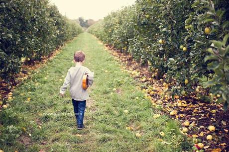 Clément et Michèle entre les pommiers : séance photos mère-enfant mise en scène, en campagne Clément et Michèle entre les pommiers : séance photos mère-enfant mise en scène, en campagne
