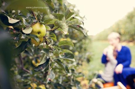 Clément et Michèle entre les pommiers : séance photos mère-enfant mise en scène, en campagne Clément et Michèle entre les pommiers : séance photos mère-enfant mise en scène, en campagne
