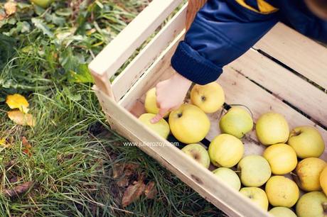 Clément et Michèle entre les pommiers : séance photos mère-enfant mise en scène, en campagne Clément et Michèle entre les pommiers : séance photos mère-enfant mise en scène, en campagne