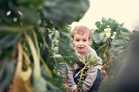 Clément et Michèle entre les pommiers : séance photos mère-enfant mise en scène, en campagne Clément et Michèle entre les pommiers : séance photos mère-enfant mise en scène, en campagne