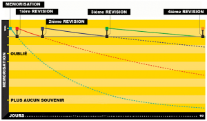 Comment apprendre du vocabulaire? Optimisation du cerveau ForgettingCurve 300x175 Comment apprendre du vocabulaire? Optimisation du cerveau