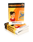 Comment apprendre du vocabulaire? Optimisation du cerveau PBOOK002 FINAL small1 Comment apprendre du vocabulaire? Optimisation du cerveau