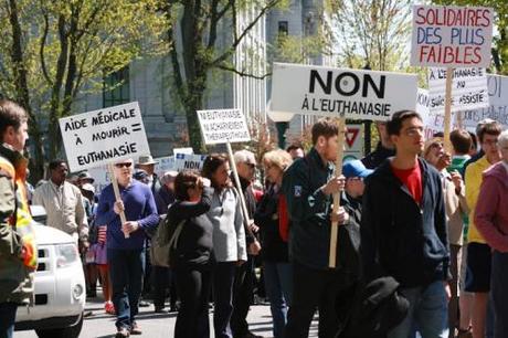 Photos de la Marche printanière contre l’euthanasie Marche4