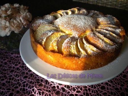 Gâteau suave aux pommes DSCN9885bis