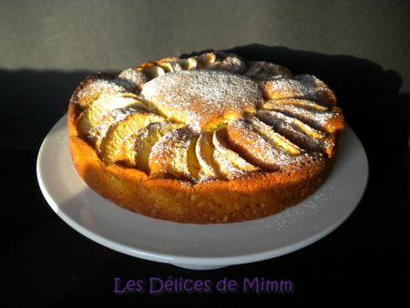 Gâteau suave aux pommes DSCN9892bis