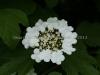 DSC00605 DSC00605