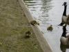 DSC00550 DSC00550