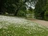 DSC00536 DSC00536