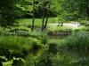DSC00599 DSC00599