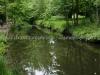 DSC00584 DSC00584