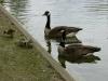 DSC00547 DSC00547